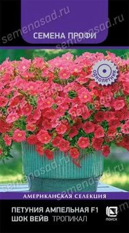 petuniya_ampelnaya_f1_shok_veyv_tropikal