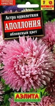 00022694_Астра Аполлония яблоневый цвет (Аэлита)