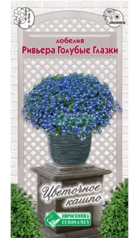 rwt2r15tlvzhw82ti3uf2hlx2snsg0cd