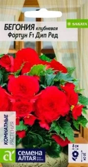 00027700_Бегония Фортун Дип Ред клубневая 5шт (Сем