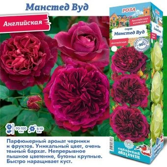 rk5vwa0egldrxkps2ic0xjxse95x5dt9