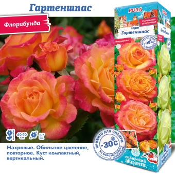 n8uwdfzb96al9wy92qbbh72xi5jot88b