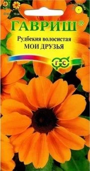 00007972_Рудбекия Мои друзья (Гавриш) 1_800