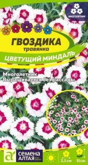 00034169_Гвоздика травянка Цветущий миндаль (Сем А