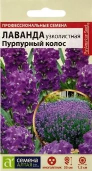 00020374_Лаванда Пурпурный колос узколистная (Сем 