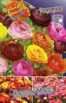 00027439_Ранункулюс Пикоти Микс 10шт (КолорЛайн)