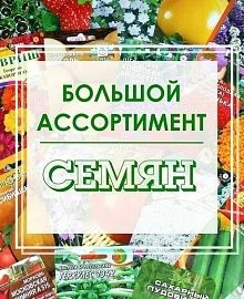 семена
