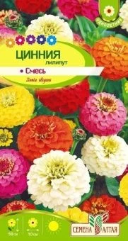 ЦБ-00000934_Цинния Лилипут Смесь окрасок 0,3г (Сем Ал)