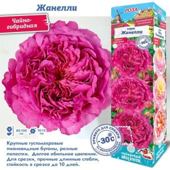 bwugknmsaocplb05slsqwphob1sx0hjz