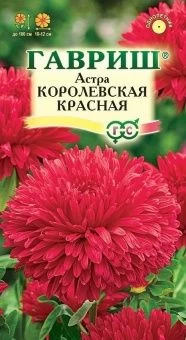 00011580_Астра Королевская красная (Гавриш) 1_800
