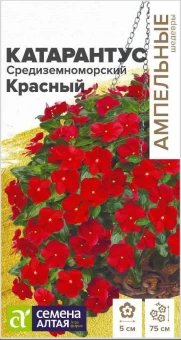 Снимок