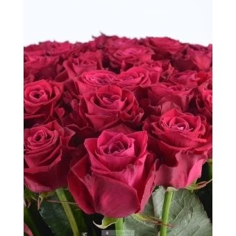 1702422428_baldezh-top-p-shangri-la-roza-instagram-2