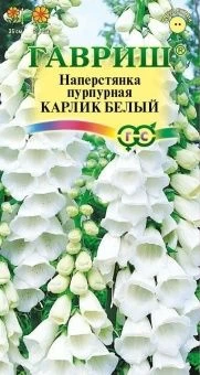 00007738_Наперстянка Карлик белый (Гавриш) 1_1000