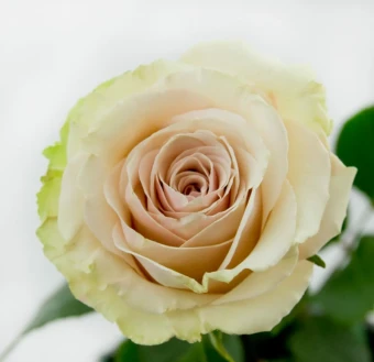 Снимок экрана 2025-10-21 152141