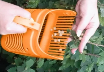 плодосъемник (2)