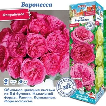 xa5gny3al4llabty38htz34eapnr19pz