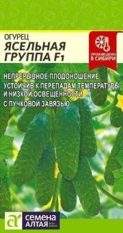 00031204_Огурец Ясельная Группа 5шт (Сем Алт)