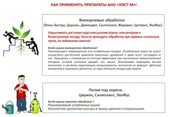 Циркон 1л (НэстМ)