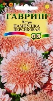 00011590_Астра Пампушка персиковая (Гавриш) 1_800