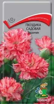 00030748_Гвоздика садовая Авранчин 0,1г (ПОИСК)