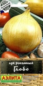 00040750_Лук Глобо (Аэлита)