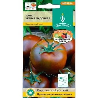 _Черная_мадонна_F1_сайт-800x800