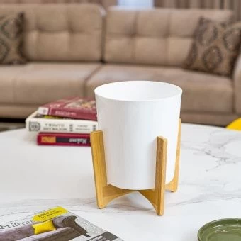 Алессия кашпо