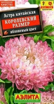 00035470_Астра Королевский размер яблоневый цвет (