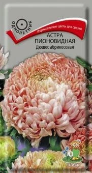 00041035_Астра Дюшес абрикосовая пионовидная 0,3г 