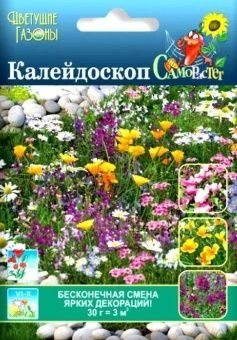 00041270_Газон Мавританский Калейдоскоп цветущий 3