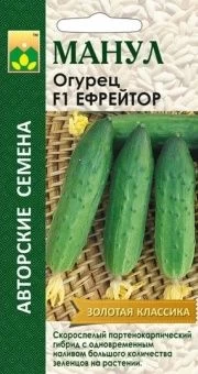 00013726_Огурец Ефрейтор (Манул)