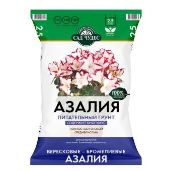 00002601_Сад Чудес Азалия 2,5л (Норд Палп)