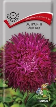 00021311_Астра игл Анжелика 0,3г (ПОИСК)