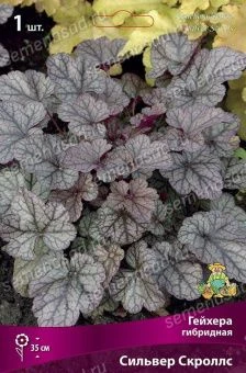 1vi3s2c3zx6vwncapkg95nc0yh54agnz