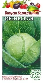 00008002_Капуста бк Июньская (Гавриш)