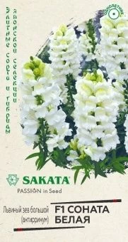 00040644_Львиный зев Соната белая 10 шт Саката сер