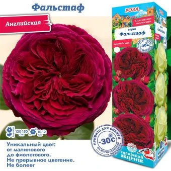 0358yz9o5eznfpdy06ckqm0c66vhsini