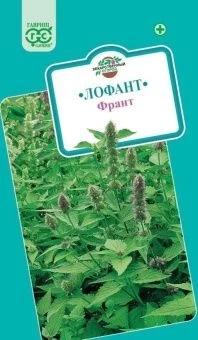 00009337_Лофант Франт (Гавриш) 1_1000