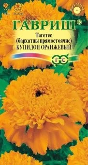 00007213_Бархатцы Купидон оранжевый прямостоячие (