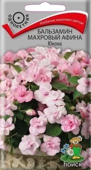 00033923_Бальзамин Афина Юнона махровый 5шт(ПОИСК)