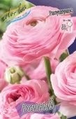 Ранункулюс Розовый 10шт (КолорЛайн)